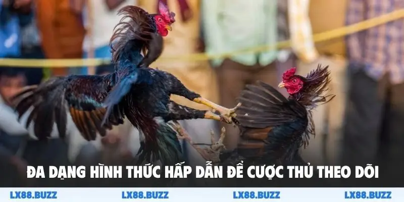 Đa dạng hình thức hấp dẫn để cược thủ theo dõi