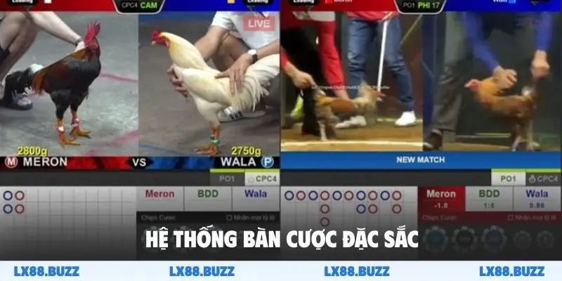 Hệ thống bàn cược đặc sắc